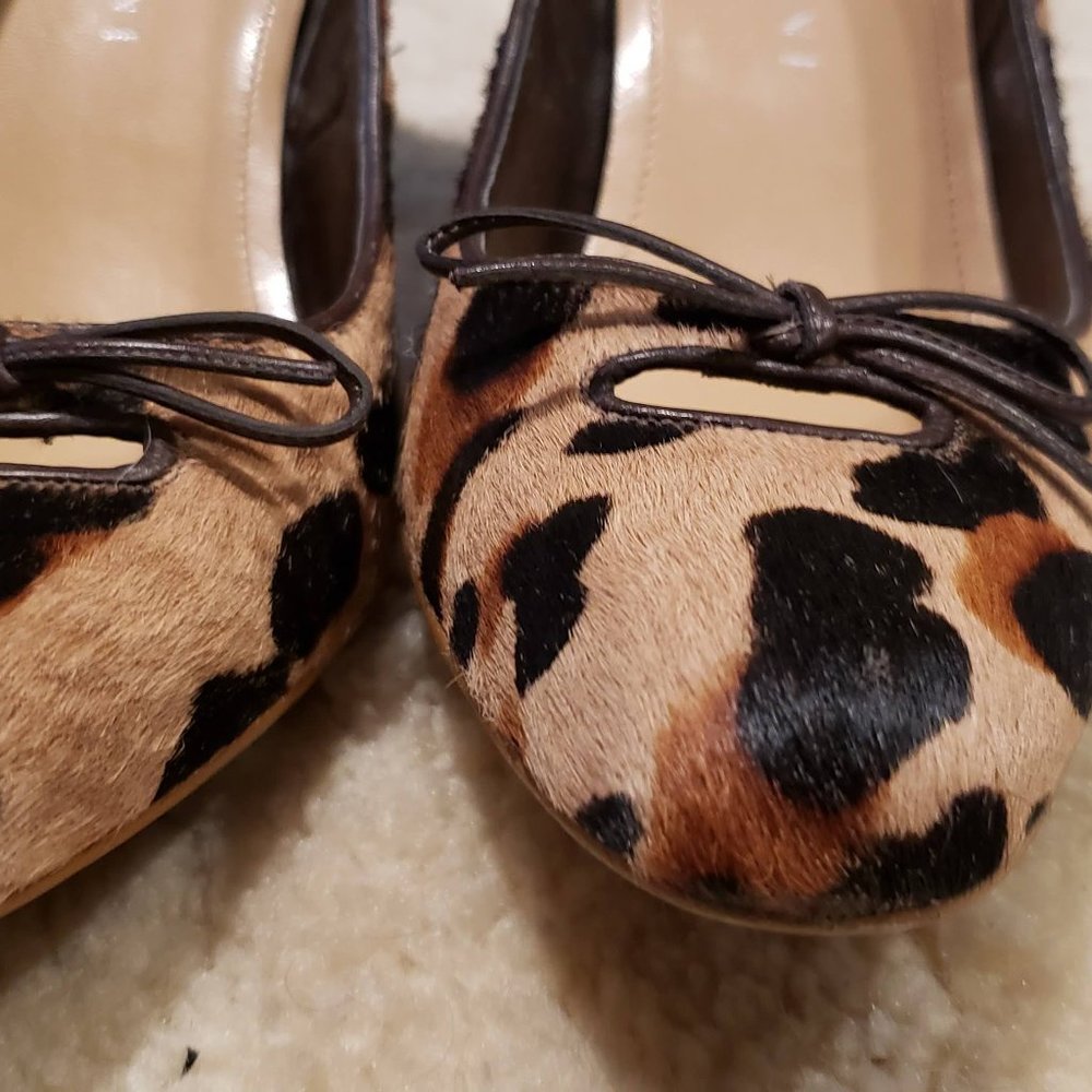Heels Shoes - Picture 3 of 7